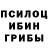 Псилоцибиновые грибы мицелий ANIMATION STARS