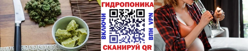 Cannafood конопля  купить наркоту  Кировск 