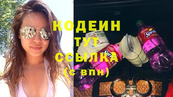 шишки Новодвинск