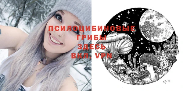 PSILOCYBIN Билибино