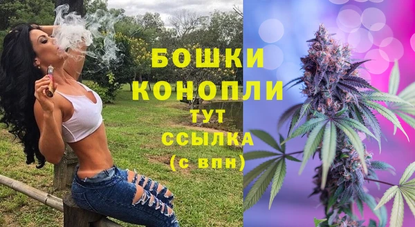 СК Нефтегорск