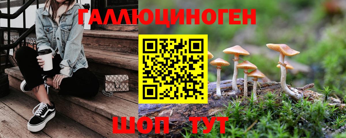 Кировск  МАРИХУАНА  Гашиш  Вход с VPN  Сколько стоит  МЕФ   МДМА  МАРИХУАНА  COCAIN  ГАШИШ 