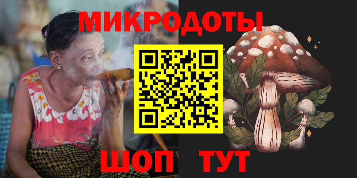 Псилоцибиновые грибы Psilocybine cubensis Кировск