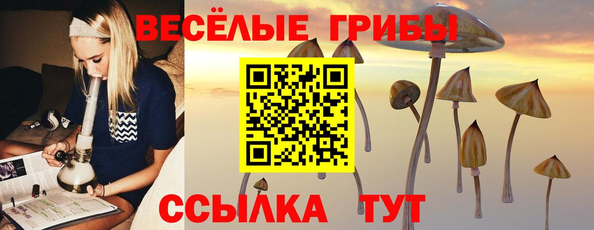 Псилоцибиновые грибы мицелий  Вход с VPN  Кировск  Псилоцибиновые грибы GOLDEN TEACHER 